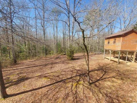 6801 Ore Trl, Bauxite, AR 72011 photo 7