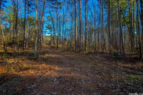 11227 Dewitt Ln, Mabelvale, AR 72103 photo 2