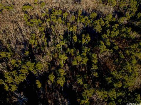 11227 Dewitt Ln, Mabelvale, AR 72103 photo 11