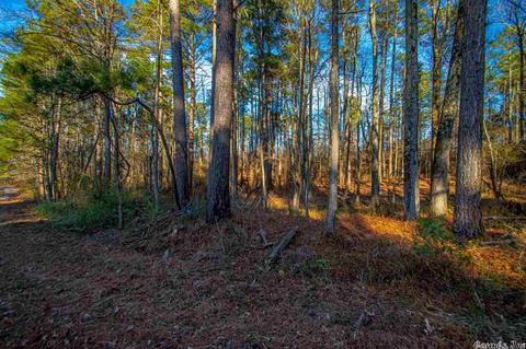 11227 Dewitt Ln, Mabelvale, AR 72103 photo 3