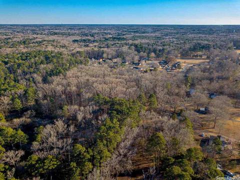 11227 Dewitt Ln, Mabelvale, AR 72103 photo 9