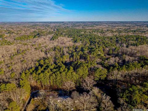 11227 Dewitt Ln, Mabelvale, AR 72103 photo 5