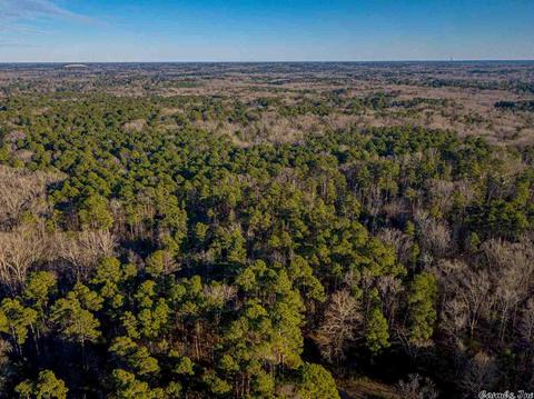 11227 Dewitt Ln, Mabelvale, AR 72103 photo 13