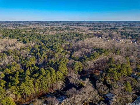 11227 Dewitt Ln, Mabelvale, AR 72103 photo 7