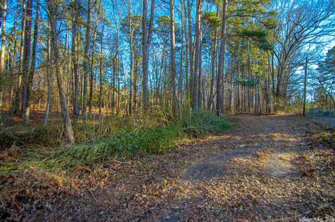 11227 Dewitt Ln, Mabelvale, AR 72103 photo 1