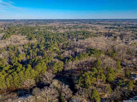 11227 Dewitt Ln, Mabelvale, AR 72103 photo 6
