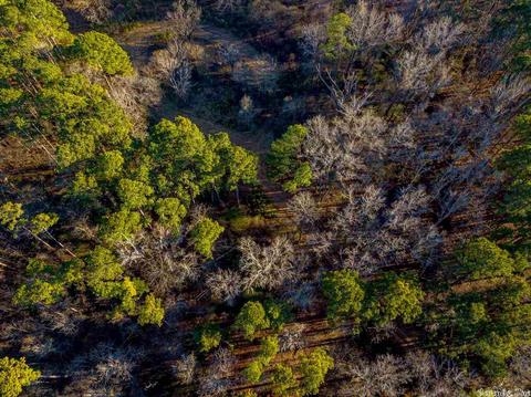 11227 Dewitt Ln, Mabelvale, AR 72103 photo 10