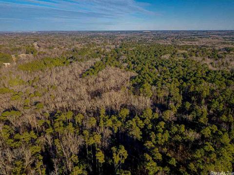 11227 Dewitt Ln, Mabelvale, AR 72103 photo 12