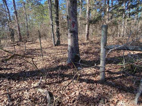 796 Barber Rd, Sims, AR 71969 photo 20