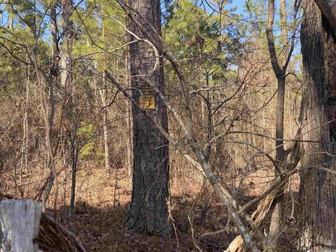 796 Barber Rd, Sims, AR 71969 photo 19