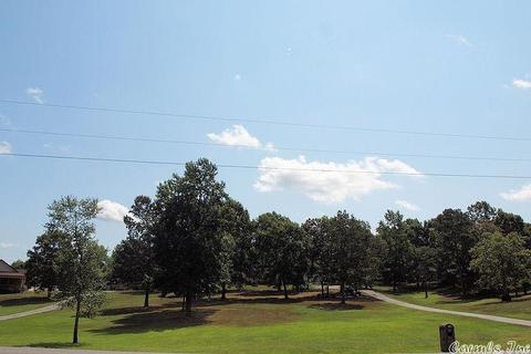 1178 War Eagle Dr, Alexander, AR 72002 photo 25