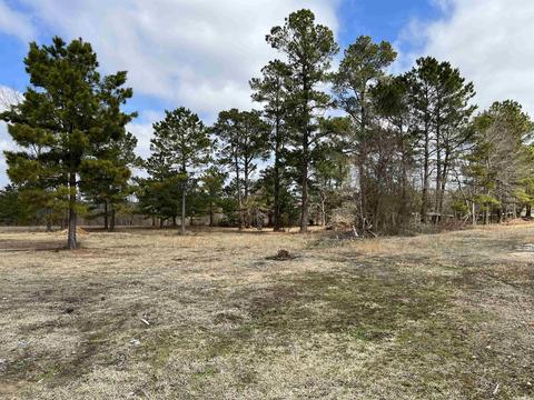 1458 Sugar Loaf Rd, Amity, AR 71921 photo 7