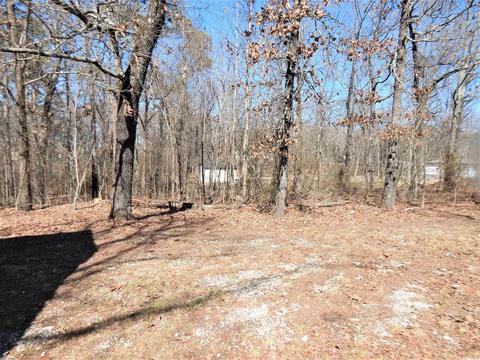 2250 Rebel Rd, Alexander, AR 72002 photo 14