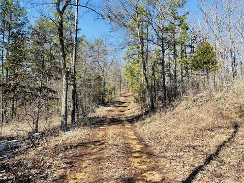 691 Hyde Rd, Melbourne, AR 72556 photo 38
