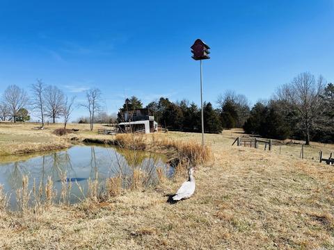 691 Hyde Rd, Melbourne, AR 72556 photo 23