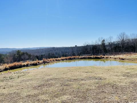 691 Hyde Rd, Melbourne, AR 72556 photo 44