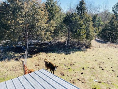691 Hyde Rd, Melbourne, AR 72556 photo 30