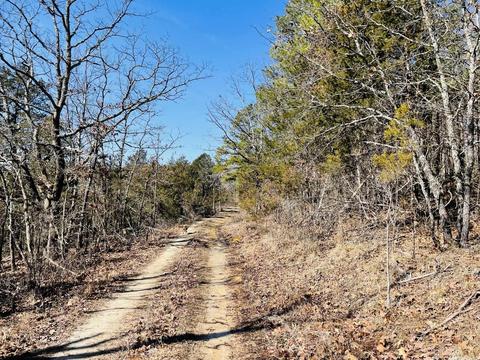 691 Hyde Rd, Melbourne, AR 72556 photo 39