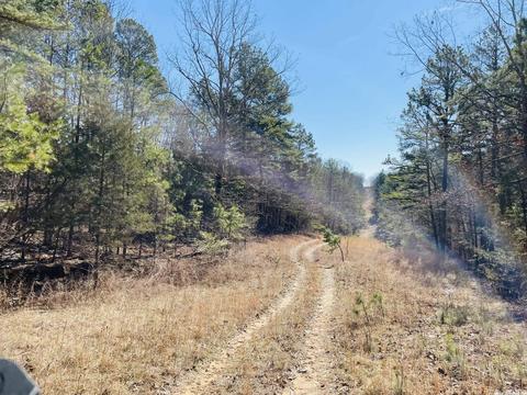 691 Hyde Rd, Melbourne, AR 72556 photo 37