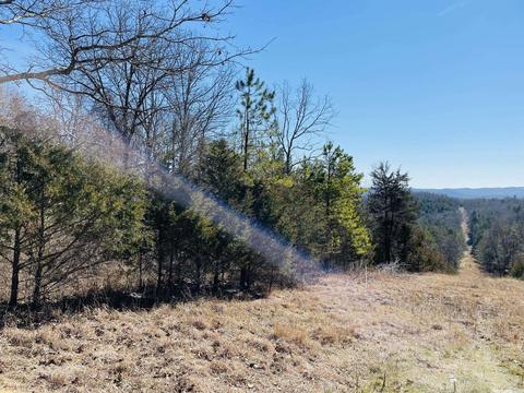 691 Hyde Rd, Melbourne, AR 72556 photo 36