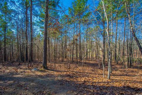 449 Judah Ln, Alexander, AR 72002 photo 42
