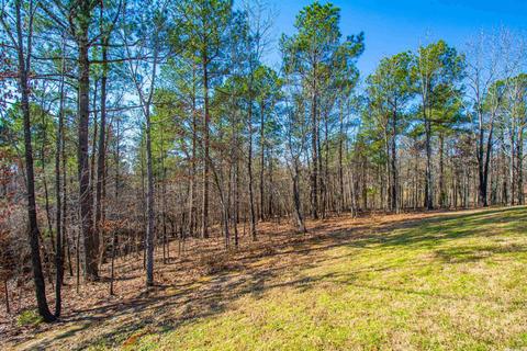 449 Judah Ln, Alexander, AR 72002 photo 36