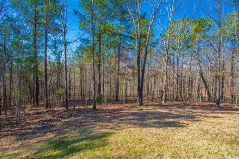 449 Judah Ln, Alexander, AR 72002 photo 38