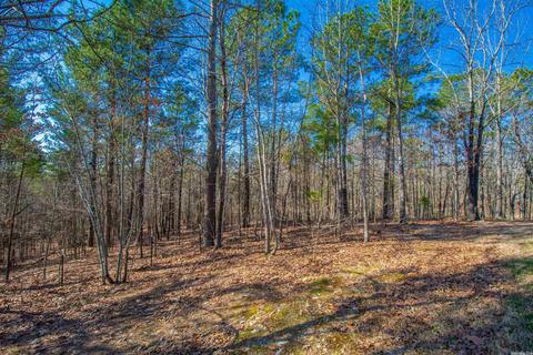 449 Judah Ln, Alexander, AR 72002 photo 39
