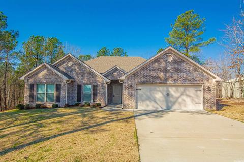 449 Judah Ln, Alexander, AR 72002 photo 50