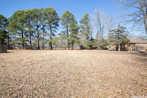 217 Pin Oak Dr, Cabot, AR 72023 photo 45