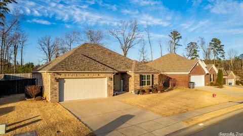 9040 Rolling Hills Dr, Alexander, AR 72002 photo 6