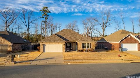 9040 Rolling Hills Dr, Alexander, AR 72002 photo 7