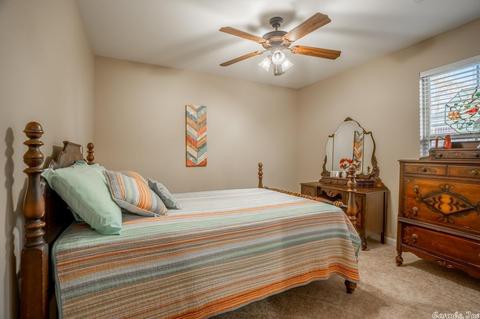 9040 Rolling Hills Dr, Alexander, AR 72002 photo 26