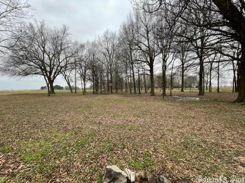 307 Cr 151, Corning, AR 72422 photo 12