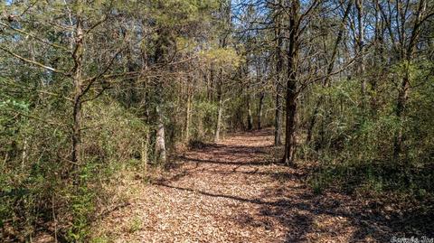 55 Battles Loop, Greenbrier, AR 72058 photo 32