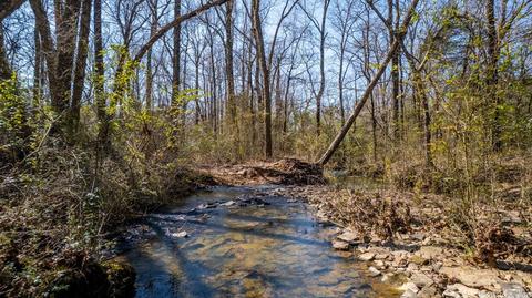 55 Battles Loop, Greenbrier, AR 72058 photo 31