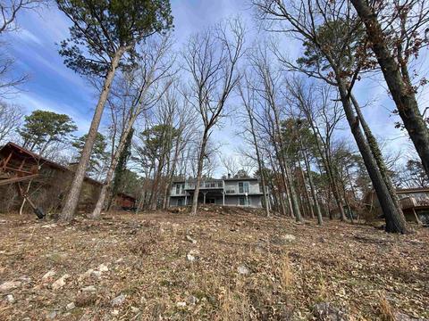 99 Stanfield, Edgemont, AR 72044 photo 49