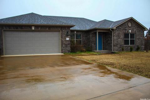 17 Mallard Cv, Austin, AR 72007 photo 1
