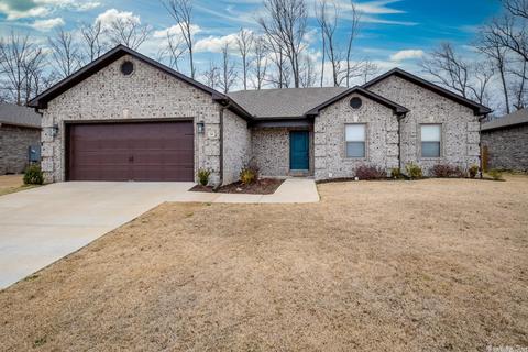 36 Chesapeake Dr, Austin, AR 72007 photo 1