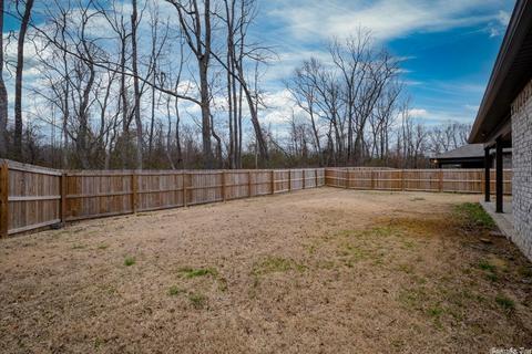 36 Chesapeake Dr, Austin, AR 72007 photo 46