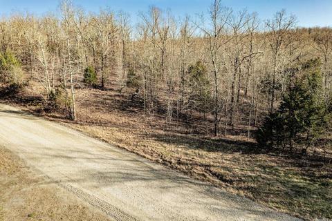 176 Tower Rd, Conway, AR 72032 photo 12