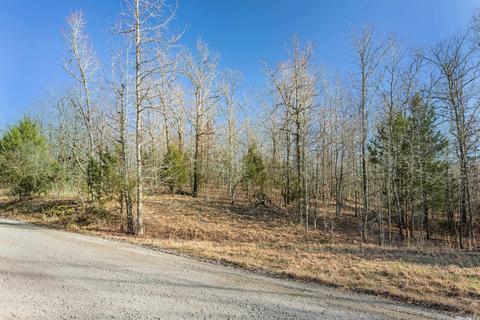 176 Tower Rd, Conway, AR 72032 photo 20