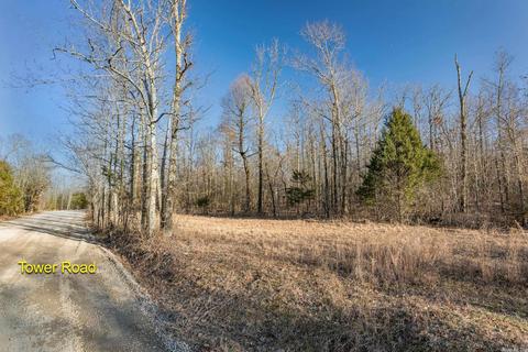 176 Tower Rd, Conway, AR 72032 photo 16