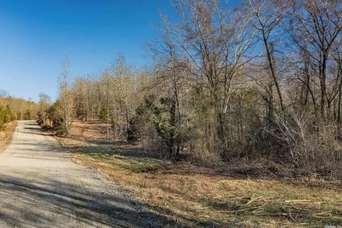 176 Tower Rd, Conway, AR 72032 photo 15