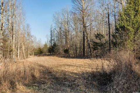 176 Tower Rd, Conway, AR 72032 photo 17