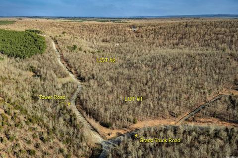 176 Tower Rd, Conway, AR 72032 photo 3