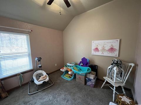 2080 Sunny Slope Rd, Edgemont, AR 72044 photo 34