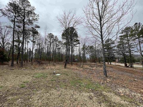 2080 Sunny Slope Rd, Edgemont, AR 72044 photo 46