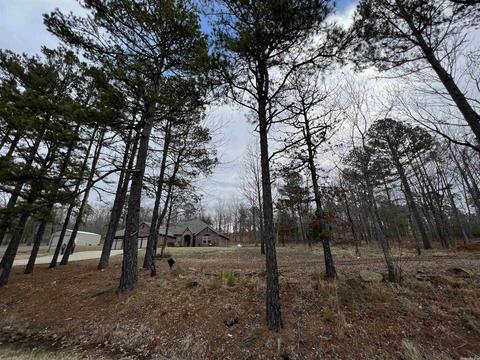 2080 Sunny Slope Rd, Edgemont, AR 72044 photo 47