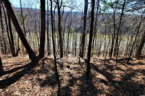 tbd Bear Mountain Rd, Prim, AR 72130 photo 9